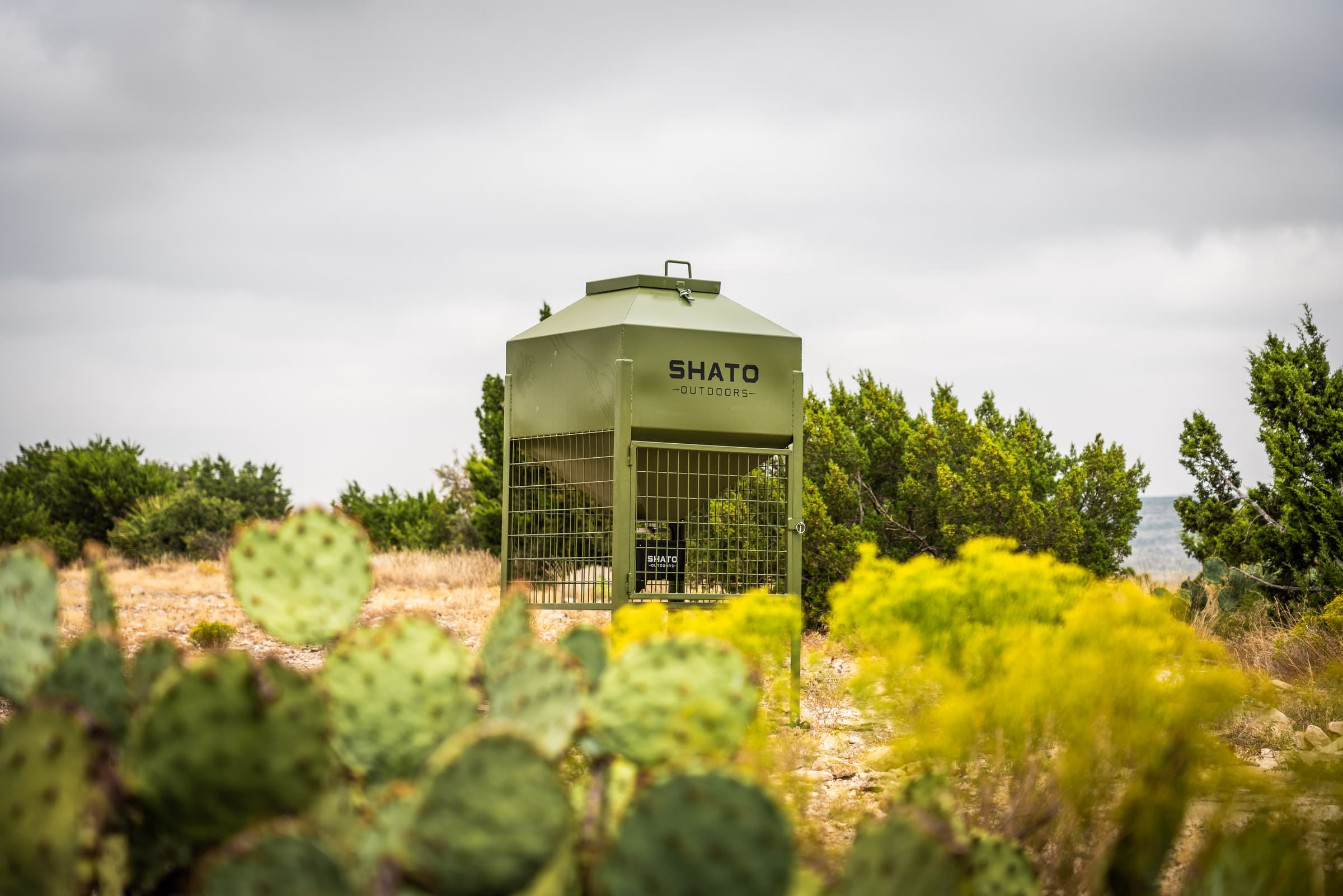The olive-green Shato Outdoors feeder standing among cedar trees, seen past prickly pear cactus and yellow-flowering scrub under an overcast sky.